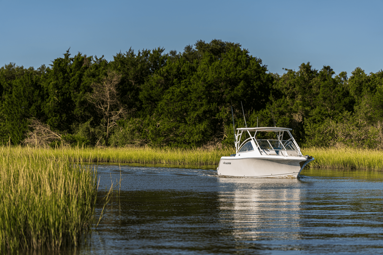 2026 Sailfish 245 DC Image Thumbnail #84