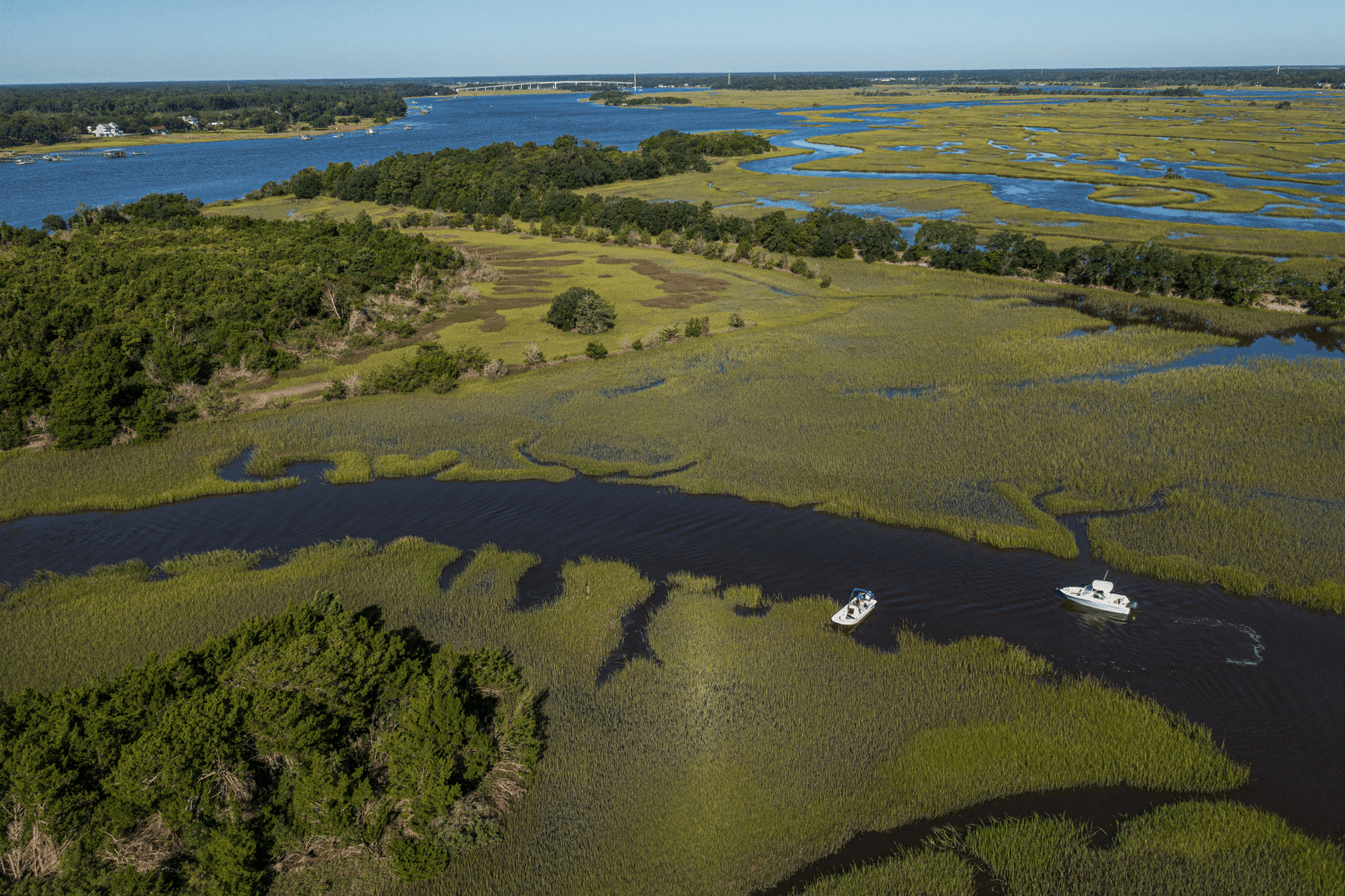 2026 Sailfish 245 DC Image Thumbnail #78