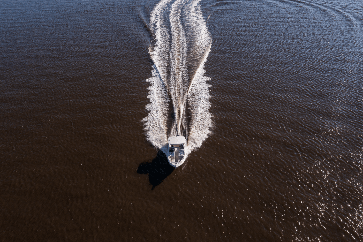 2026 Sailfish 245 DC Image Thumbnail #7