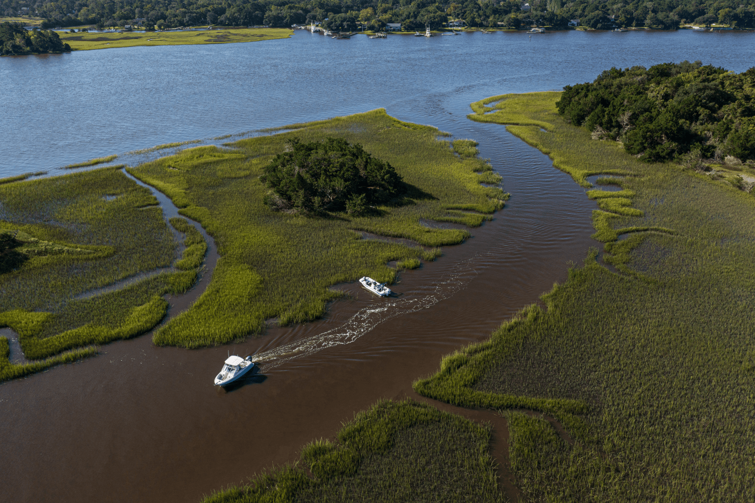 2026 Sailfish 245 DC Image Thumbnail #76