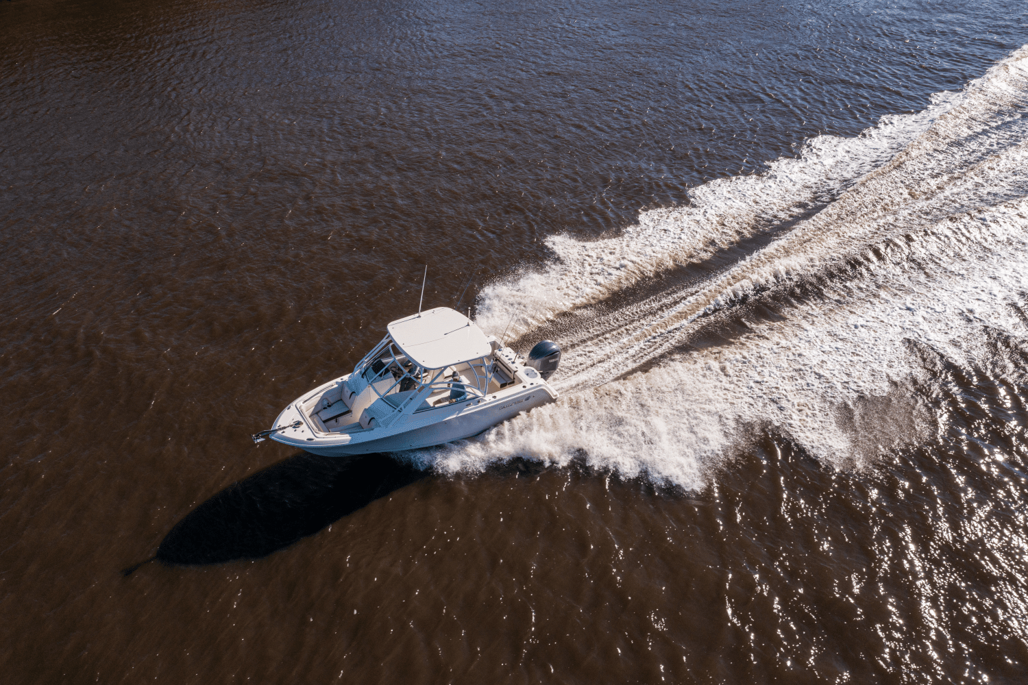 2026 Sailfish 245 DC Image Thumbnail #61