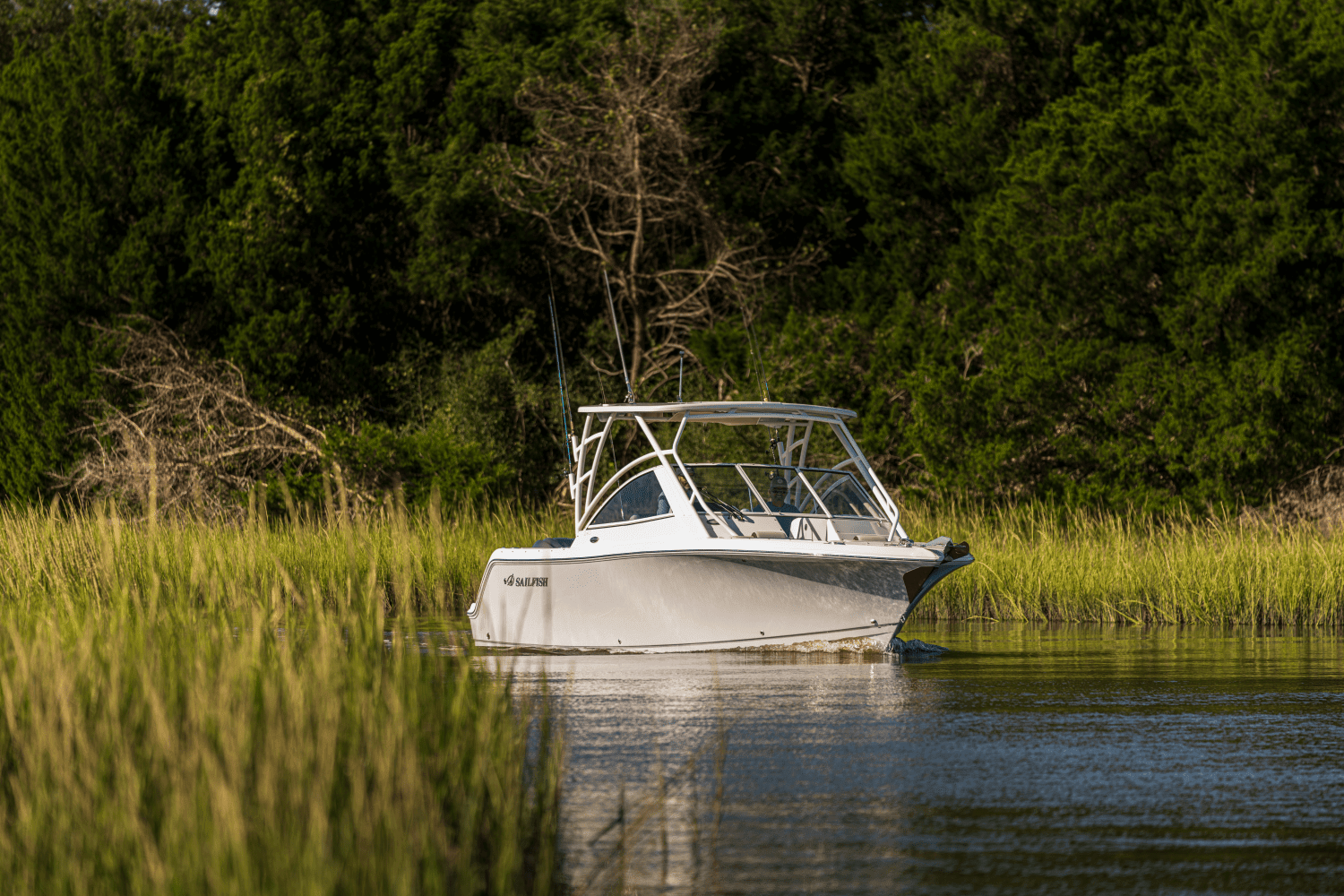 2026 Sailfish 245 DC Image Thumbnail #80