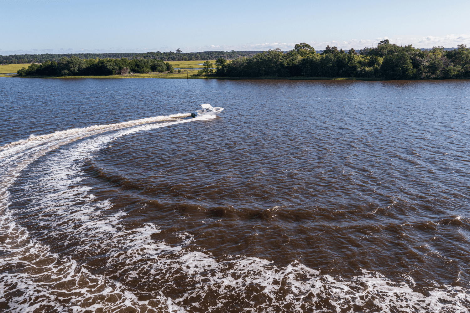 2026 Sailfish 245 DC Image Thumbnail #70