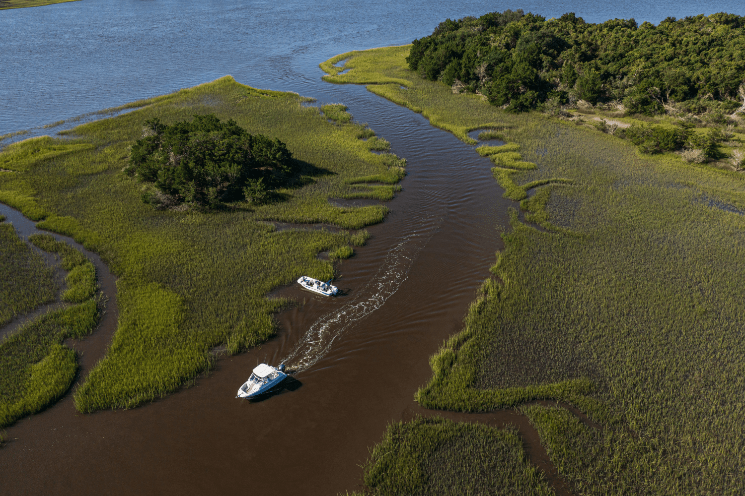 2026 Sailfish 245 DC Image Thumbnail #77