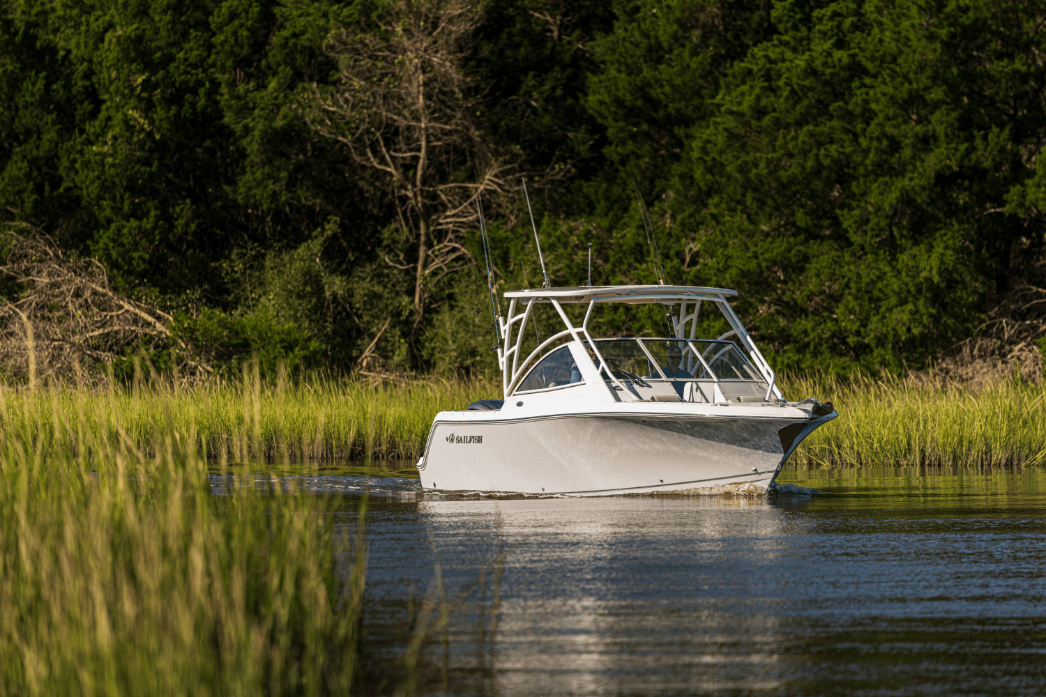 2025 Sailfish 245 DC Image Thumbnail #79